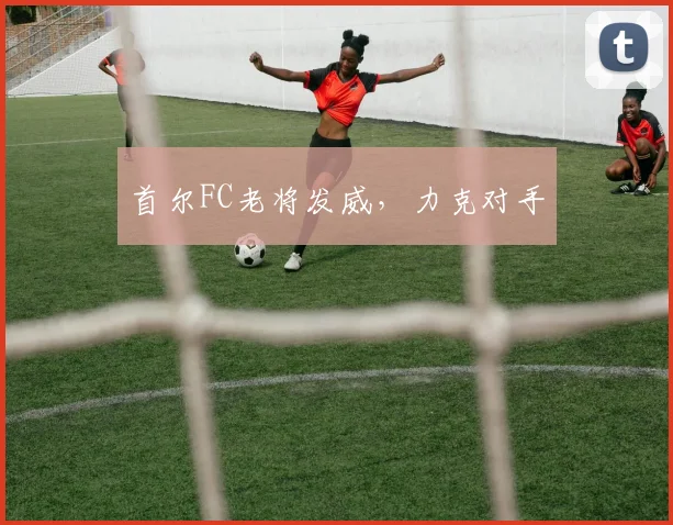 首尔FC老将发威，力克对手