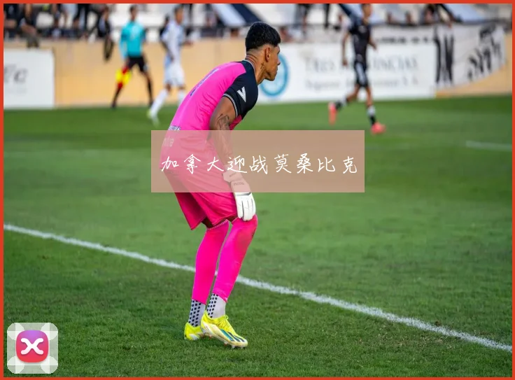 加拿大迎战莫桑比克