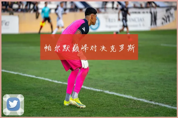 帕尔默巅峰对决克罗斯