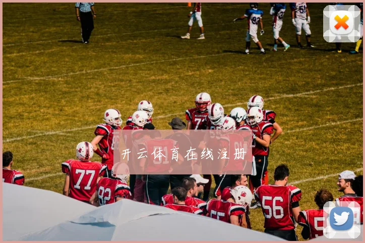 开云体育在线注册