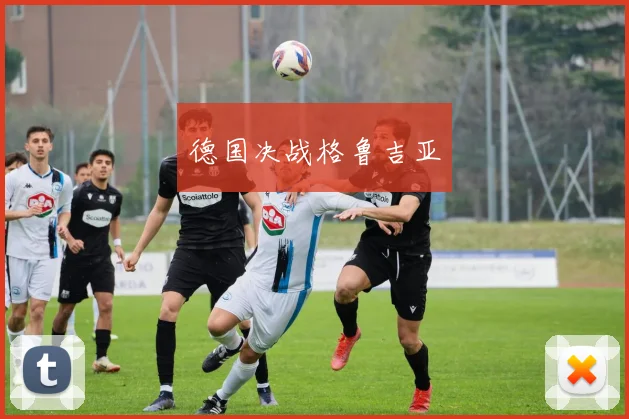 德国决战格鲁吉亚