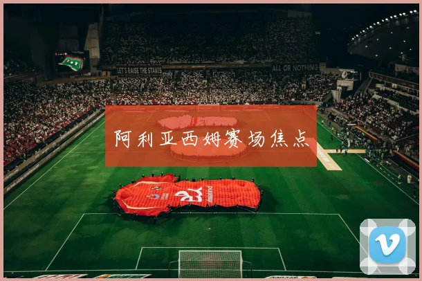 阿利亚西姆赛场焦点