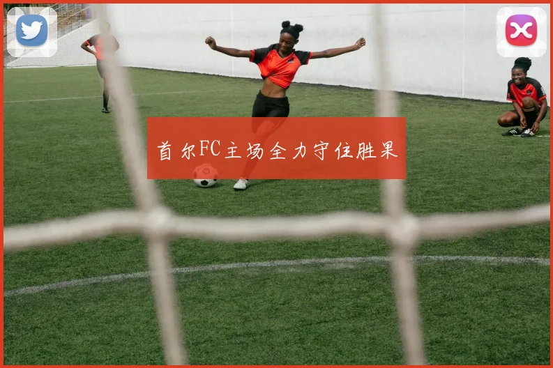首尔FC主场全力守住胜果