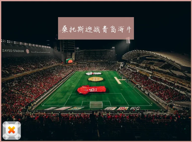桑托斯迎战青岛海牛