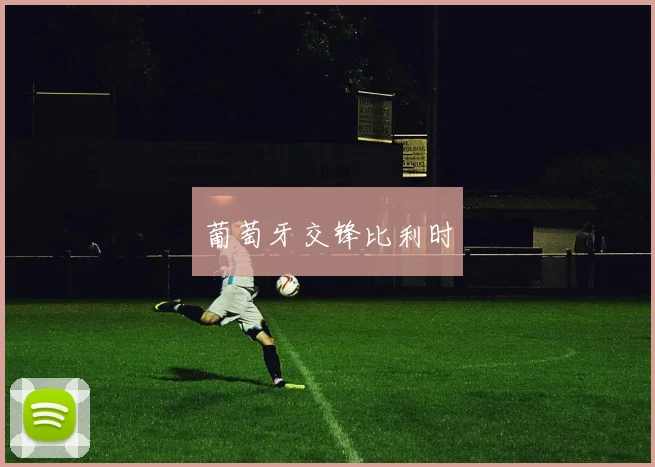 葡萄牙交锋比利时