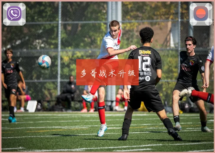 多哥战术升级