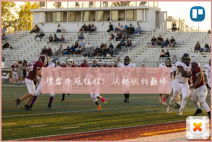 穆雷夺冠征程：从起伏到巅峰
