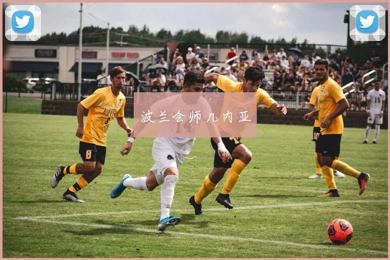 波兰会师几内亚