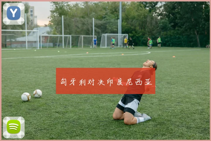匈牙利对决印度尼西亚