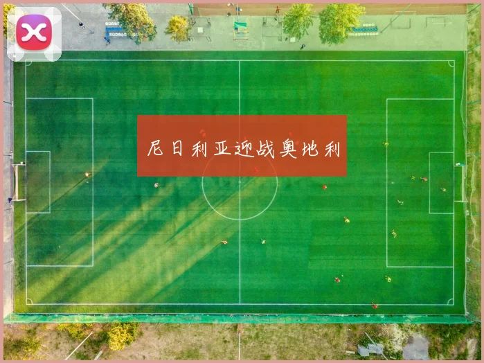 尼日利亚迎战奥地利