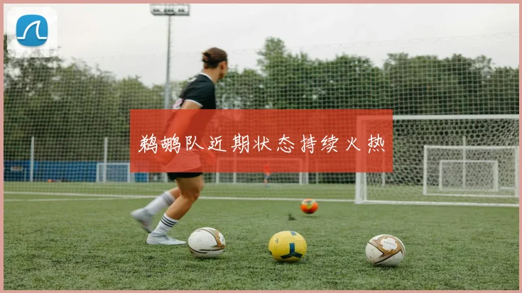 鹈鹕队近期状态持续火热
