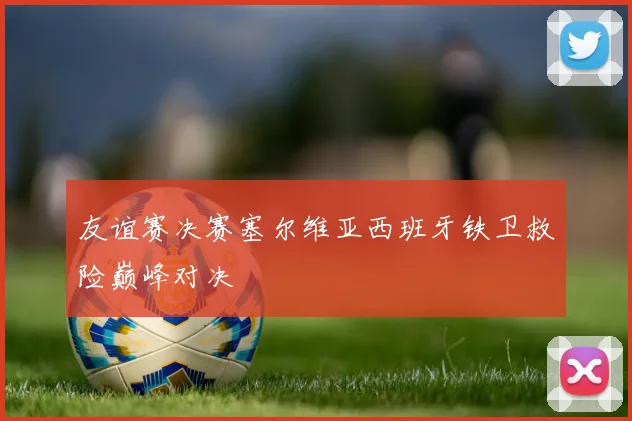 友谊赛决赛塞尔维亚西班牙铁卫救险巅峰对决