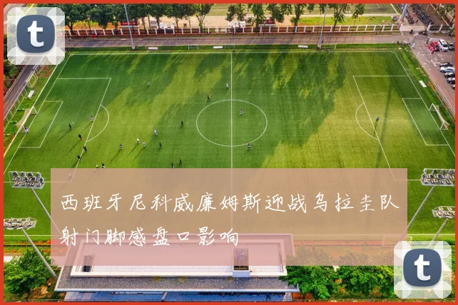 西班牙尼科威廉姆斯迎战乌拉圭队射门脚感盘口影响