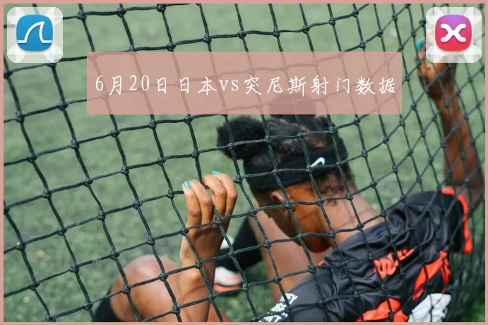 6月20日日本vs突尼斯射门数据